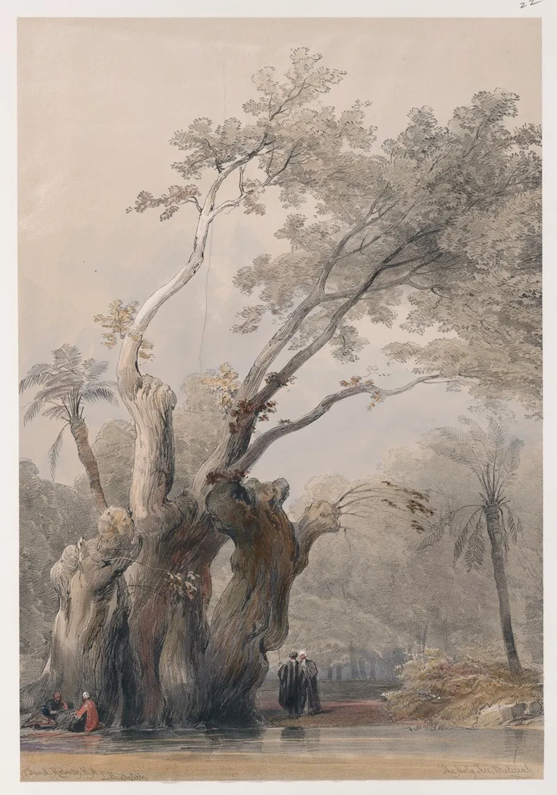 The Holy Tree Of Metereah Wall Art by David Roberts - High-Resolution Digital Print