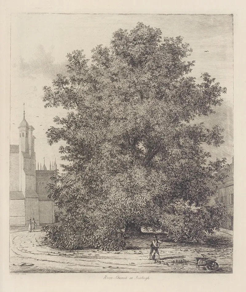 The Horse Chesnut At Burleigh Wall Art by Jacob George Strutt - High-Resolution Digital Print