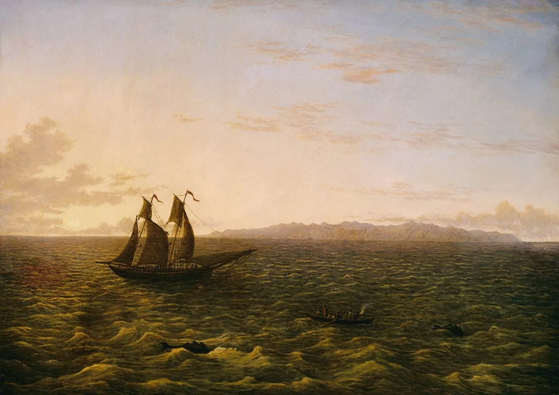 The Island Of Madeira