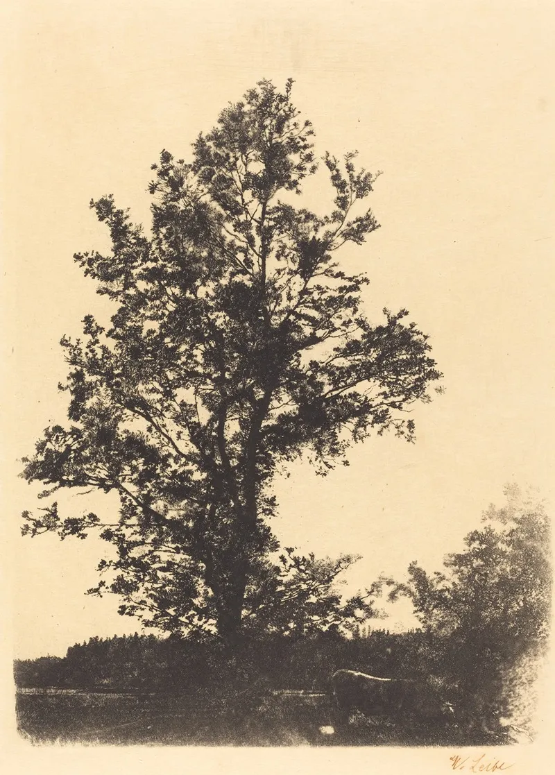 The Large Tree 2