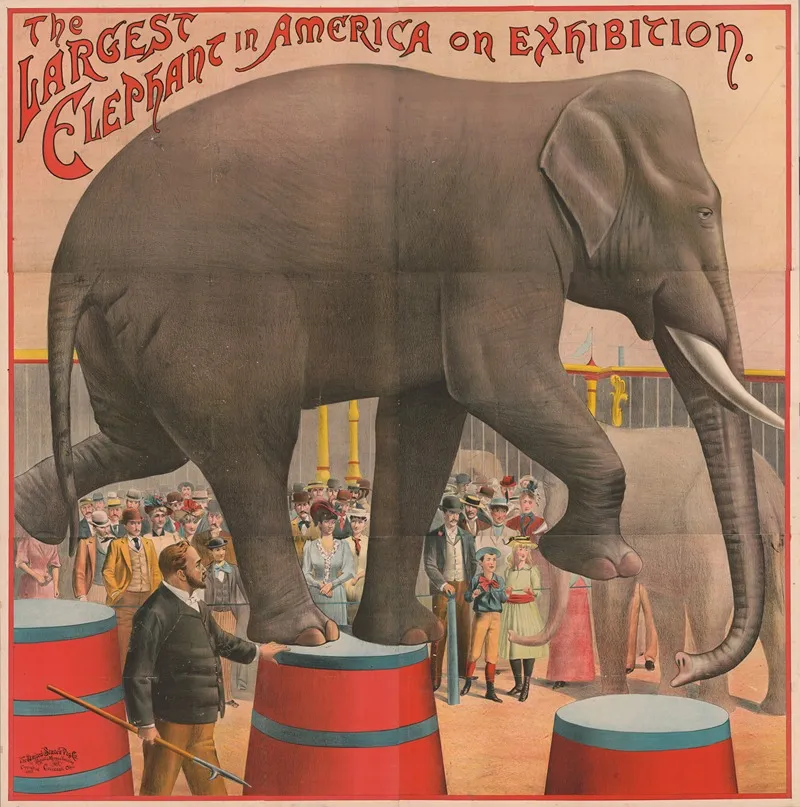 The Largest Elephant In America On Exhibition Wall Art by Russell, Morgan &amp; Co. - High-Resolution Digital Print
