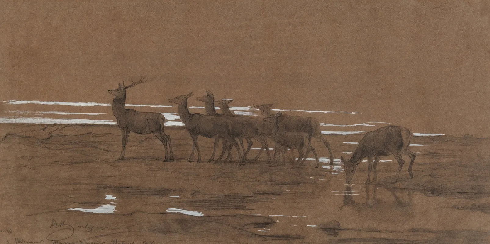 The Leading Stag
