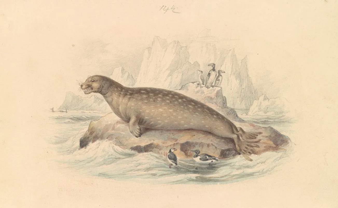 The Leopard Seal Wall Art by James Stewart - High-Resolution Digital Print