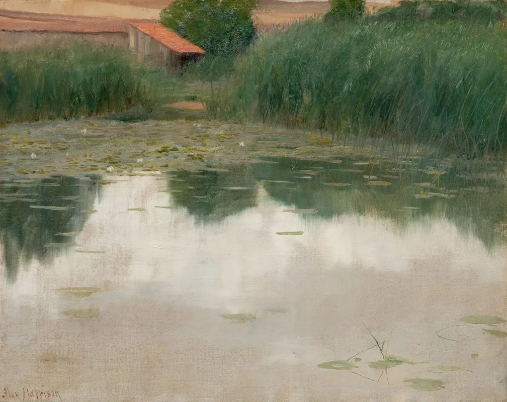 The Lily Pond