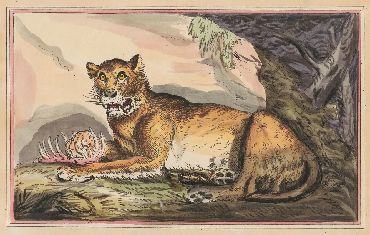 The Lioness Wall Art by Thomas Rowlandson - High-Resolution Digital Print