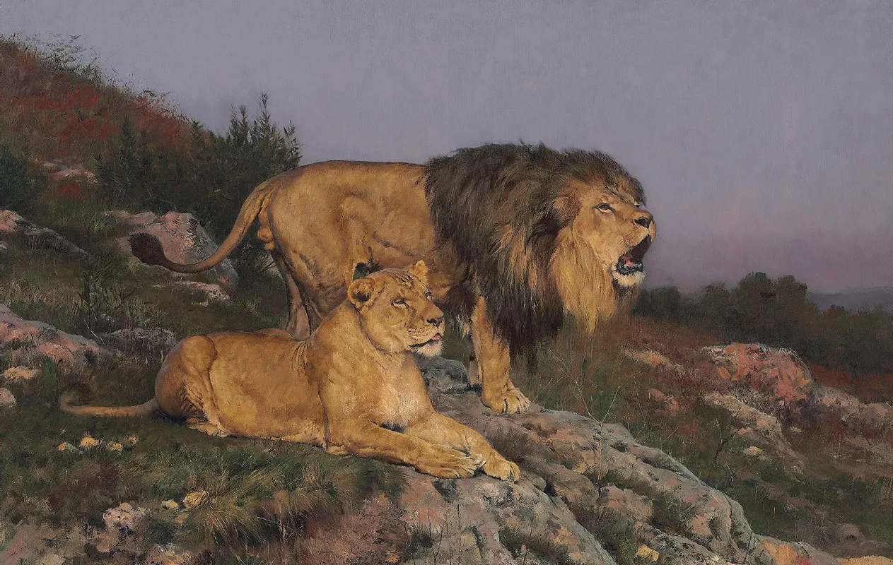 The Lions Domain