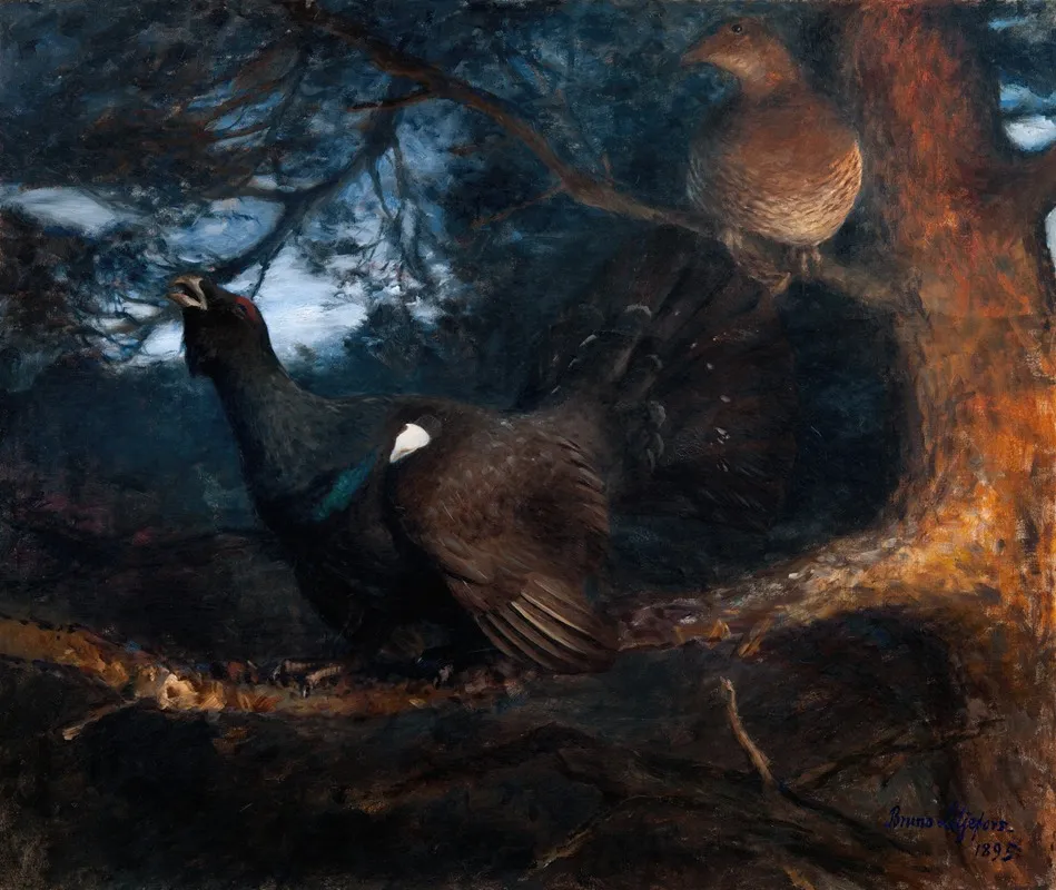 The Mating Of The Capercaillies