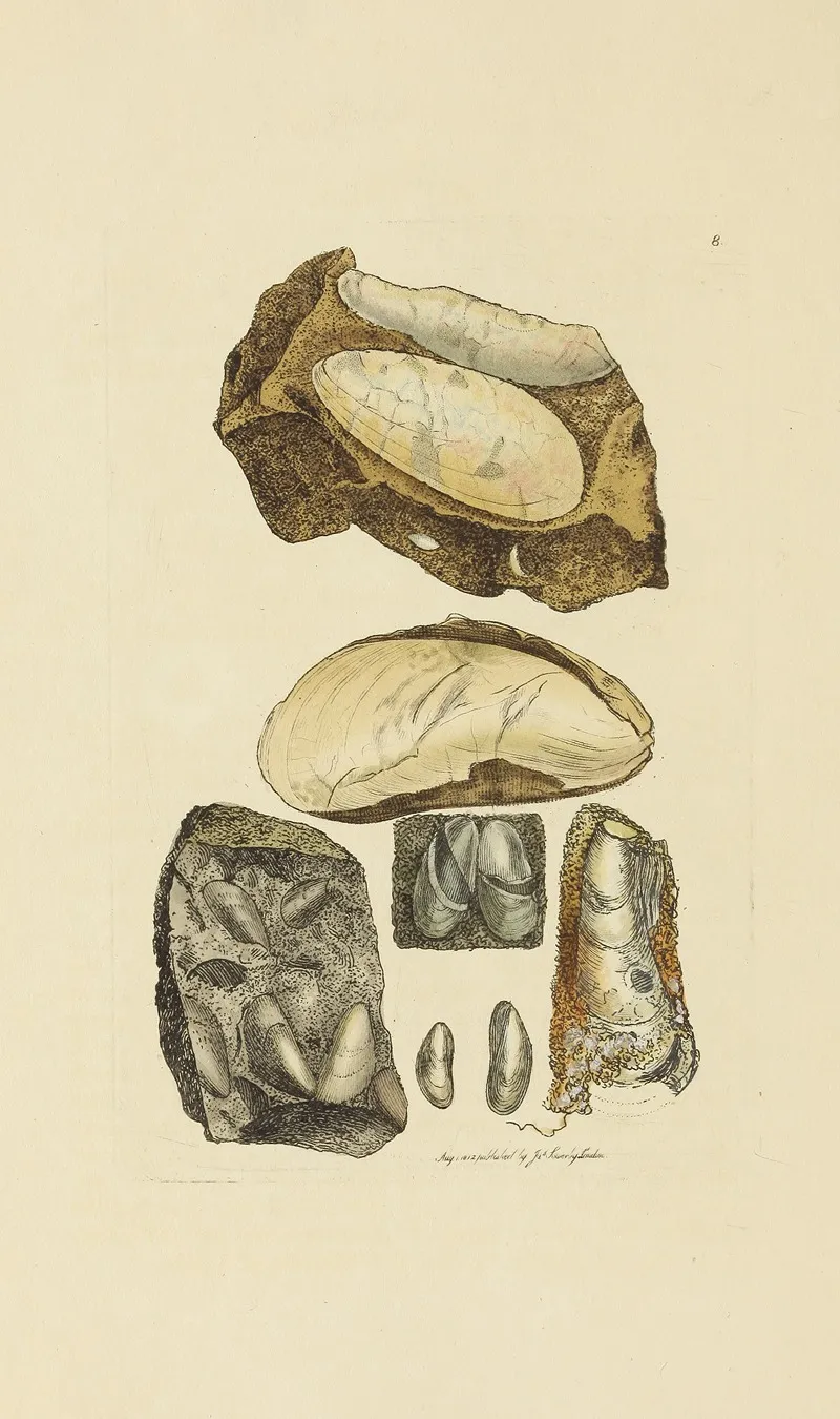Figurative