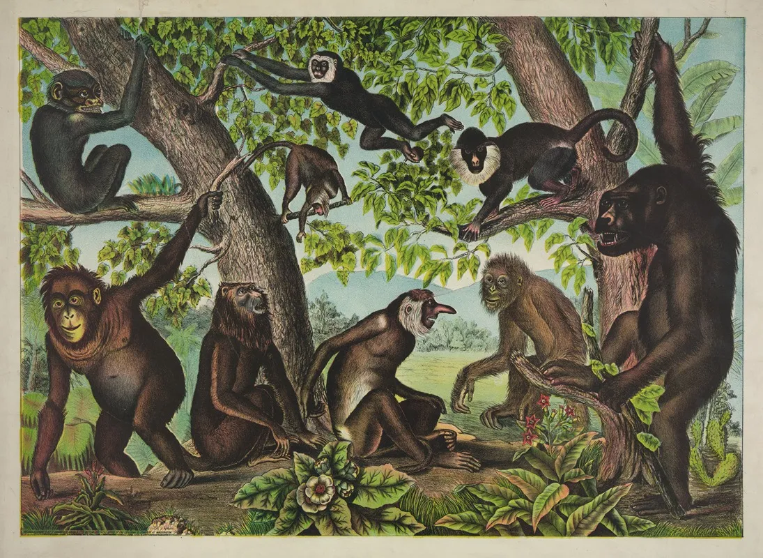 The Monkeys