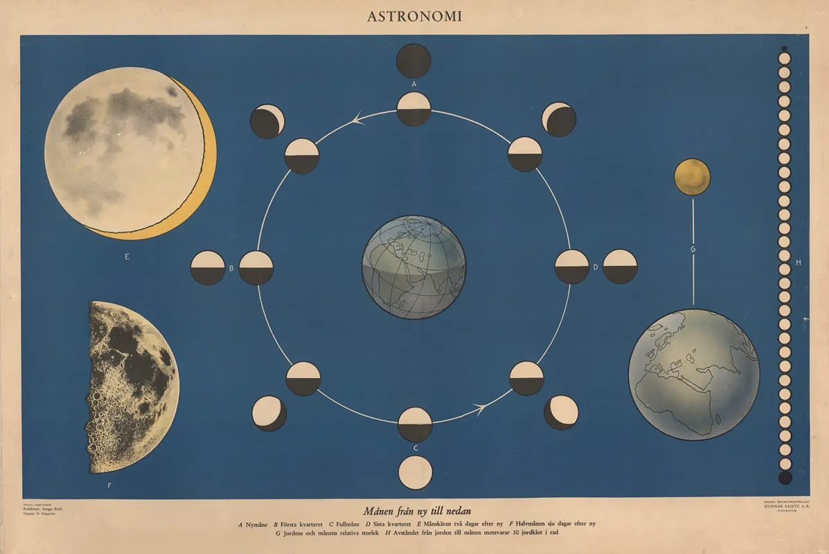 The Moon From New To Full Wall Art by N. Ringström - High-Resolution Digital Print