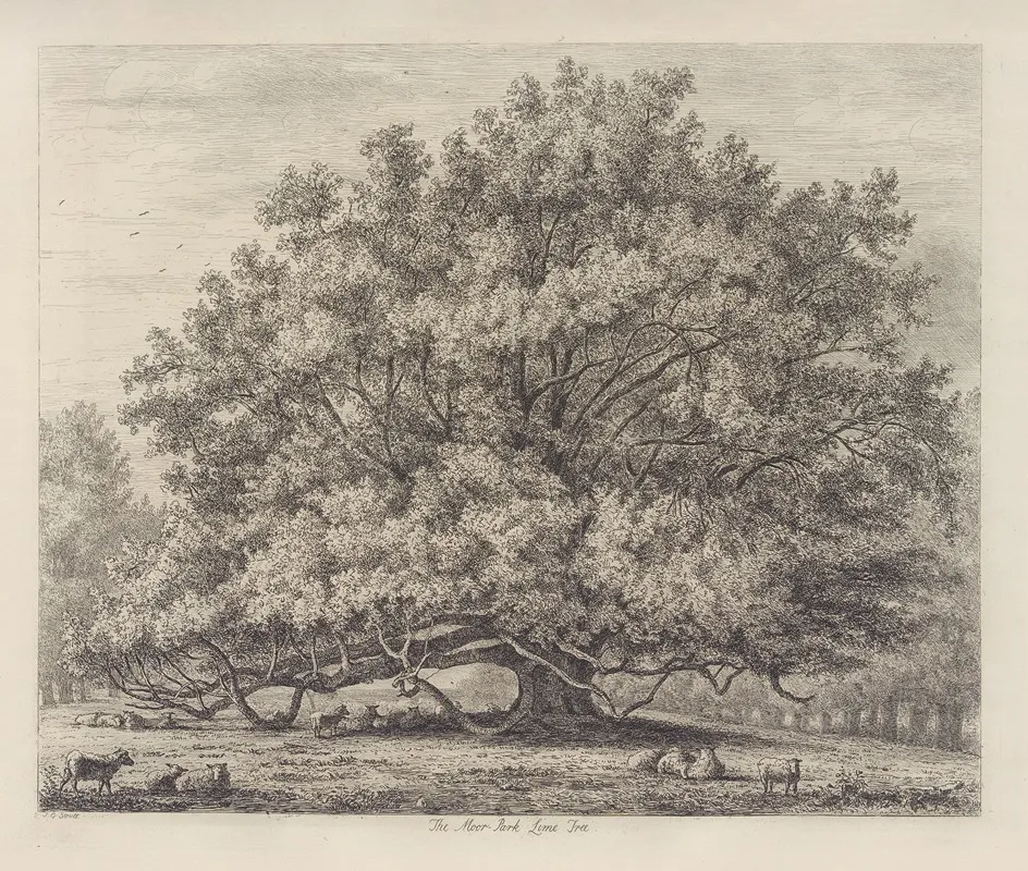 The Moor Park Lime Tree Wall Art by Jacob George Strutt - High-Resolution Digital Print