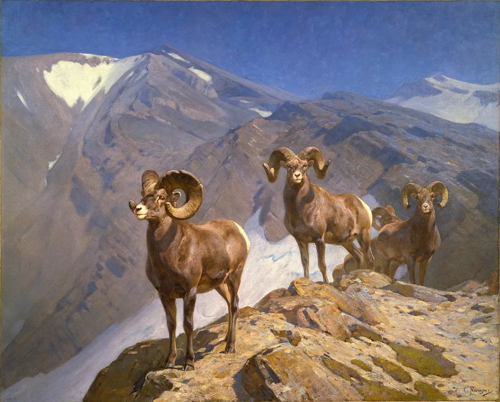 The Mountaineers Big Horn Sheep On Wilcox Pass Wall Art by Carl Rungius - High-Resolution Digital Print