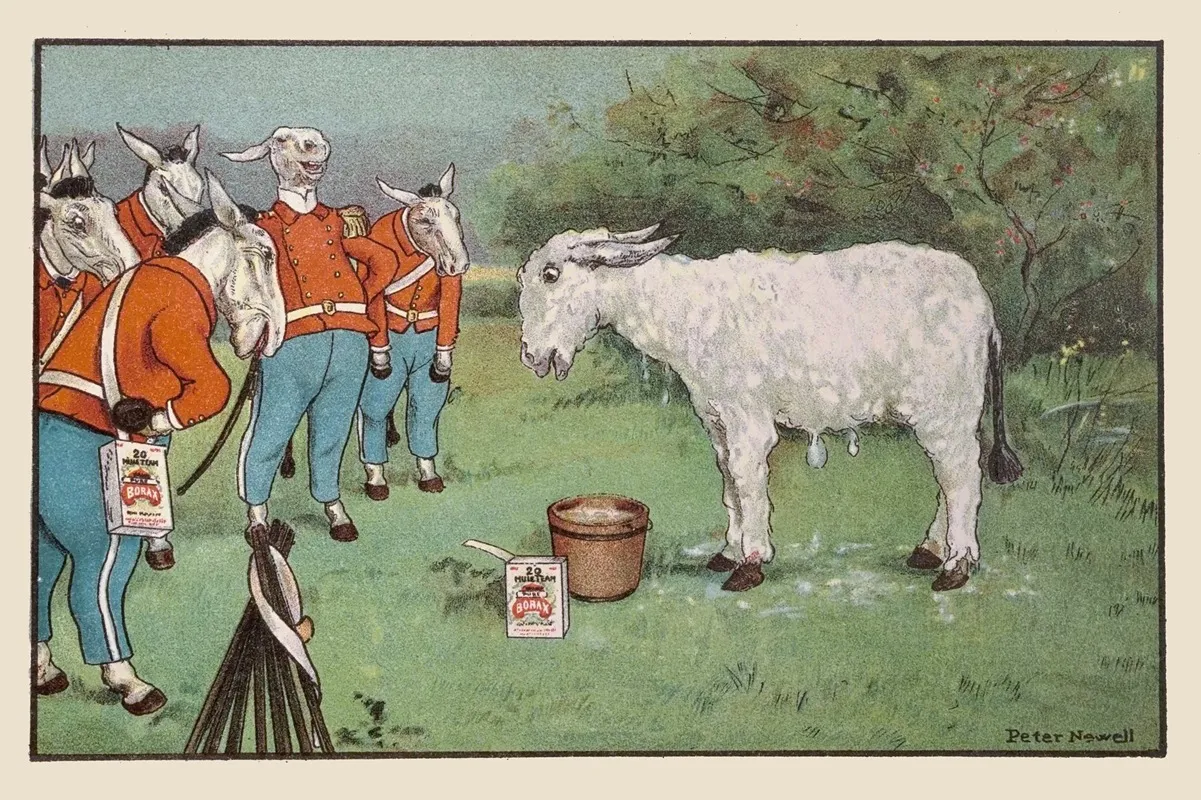 The Mules Declared He Looked Just Like A Great Big Woolly Sheep