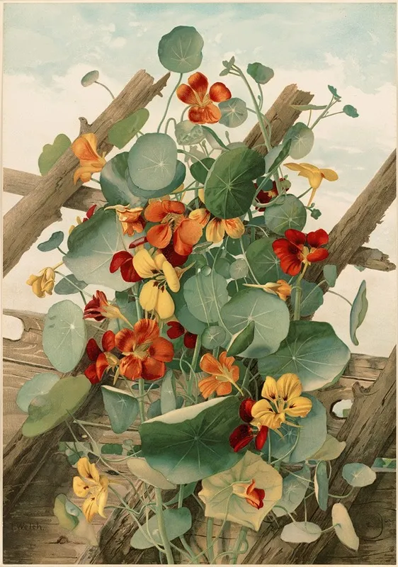 The Nasturtiums No 2 Wall Art by Thaddeus Welch - High-Resolution Digital Print