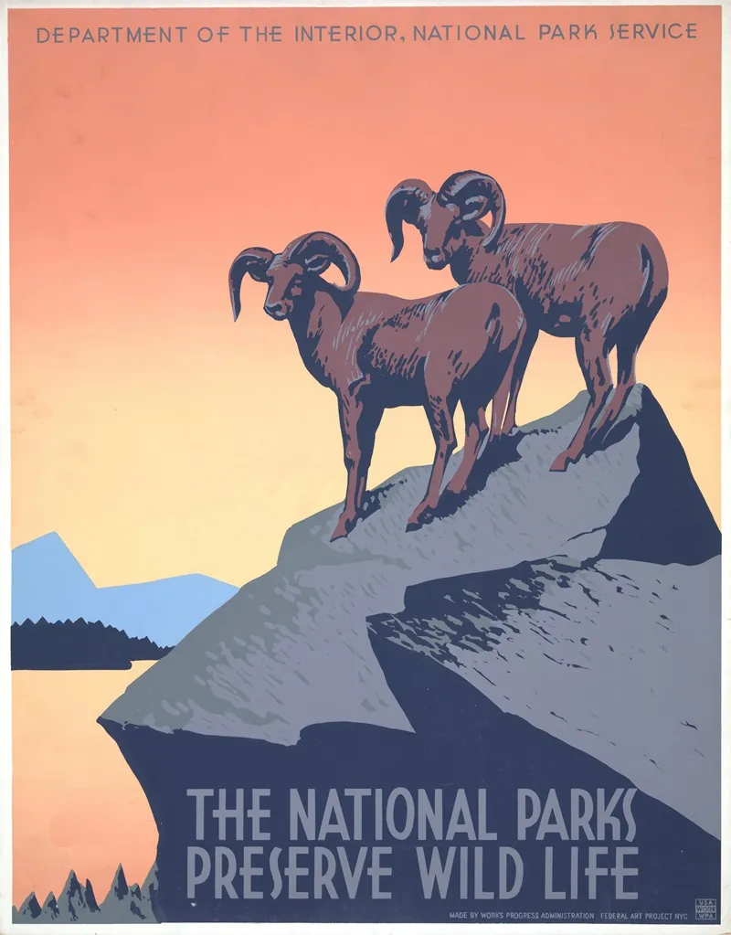 The National Parks Preserve Wild Life Wall Art by J. Hirt - High-Resolution Digital Print