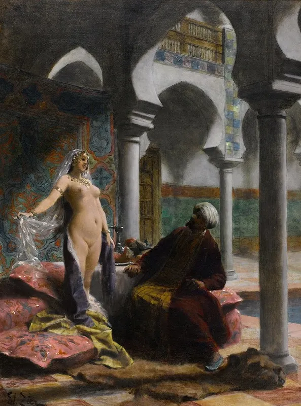 The New Harem Girl