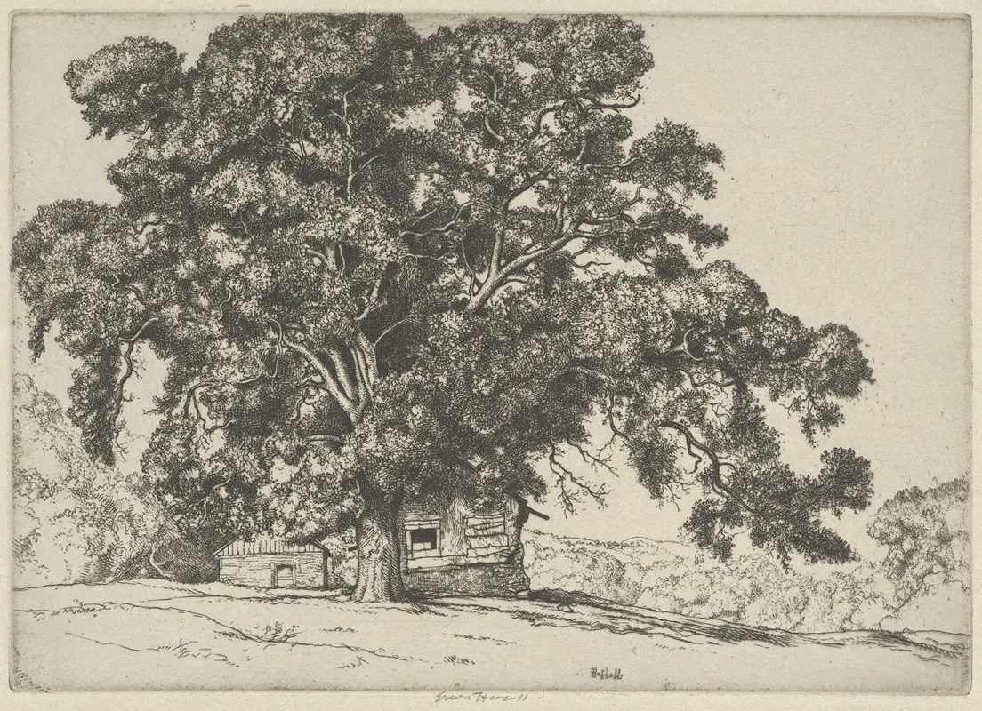 The Oak And The Adobe