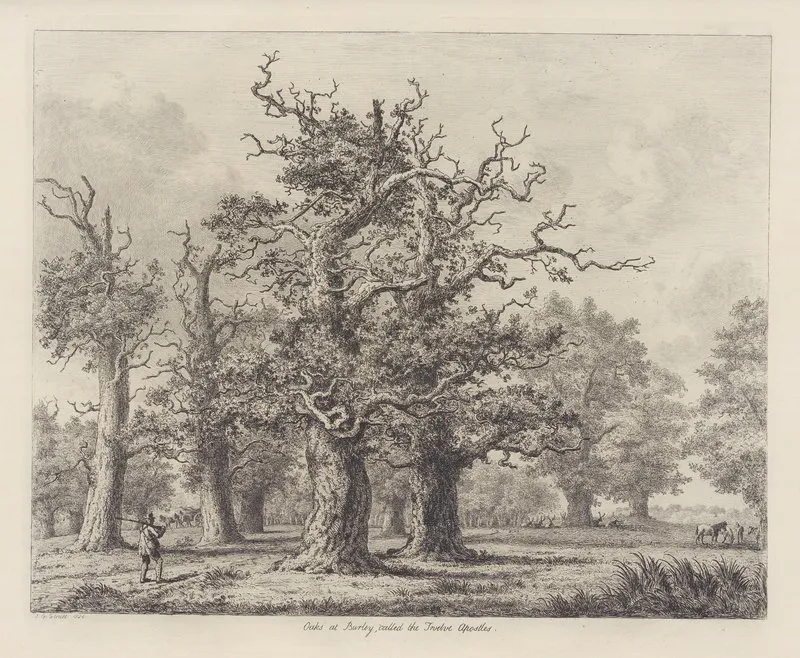 The Oaks At Burley Called The Twelve Apostles Wall Art by Jacob George Strutt - High-Resolution Digital Print