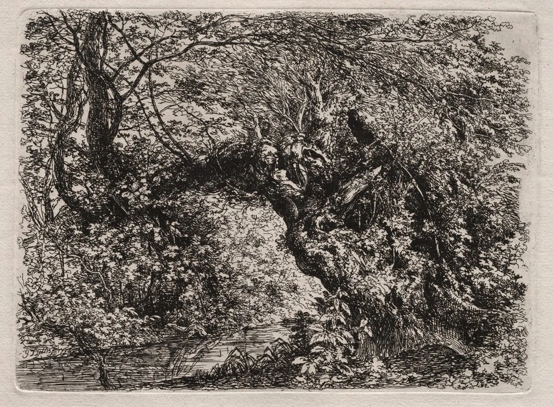 The Old Willow At A Brook