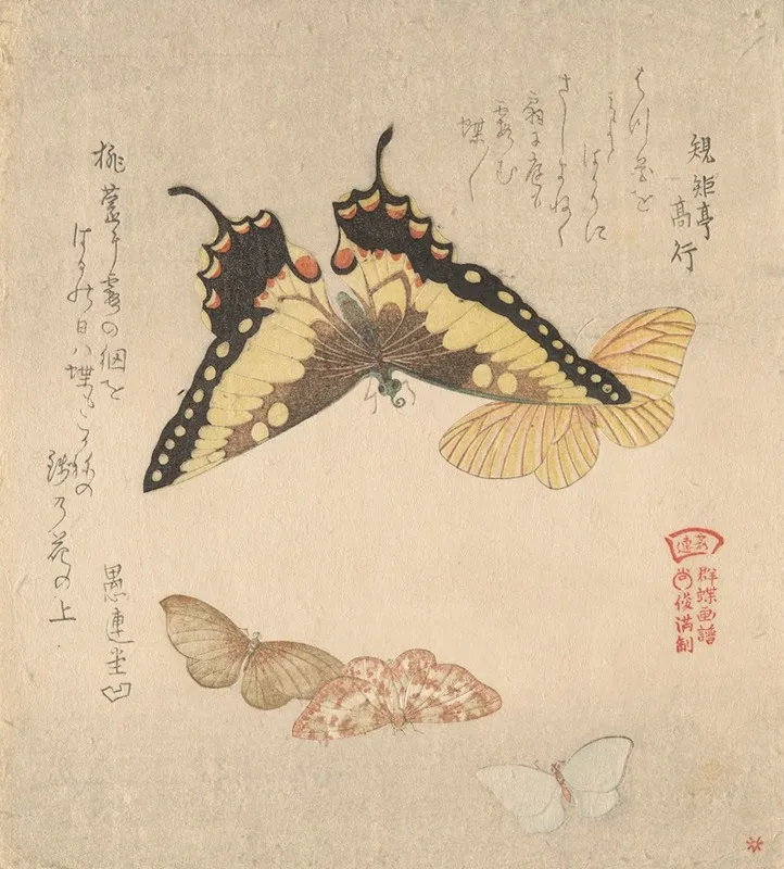 The Painting Manual Of Flock Of Butterflies Guncho Gafu 3
