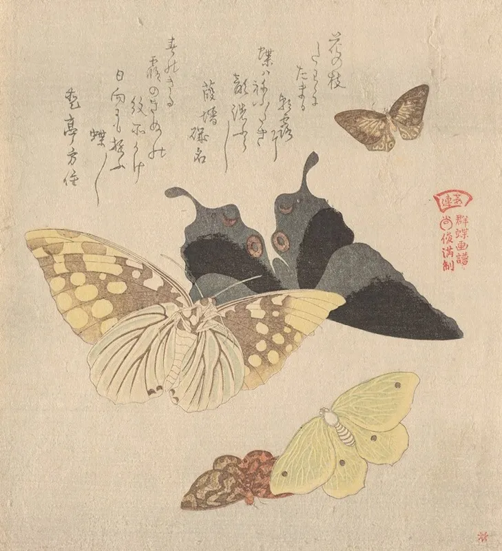 The Painting Manual Of Flock Of Butterflies Guncho Gafu 4