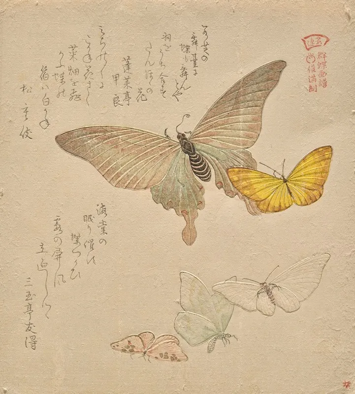 The Painting Manual Of Flock Of Butterflies Guncho Gafu Ii