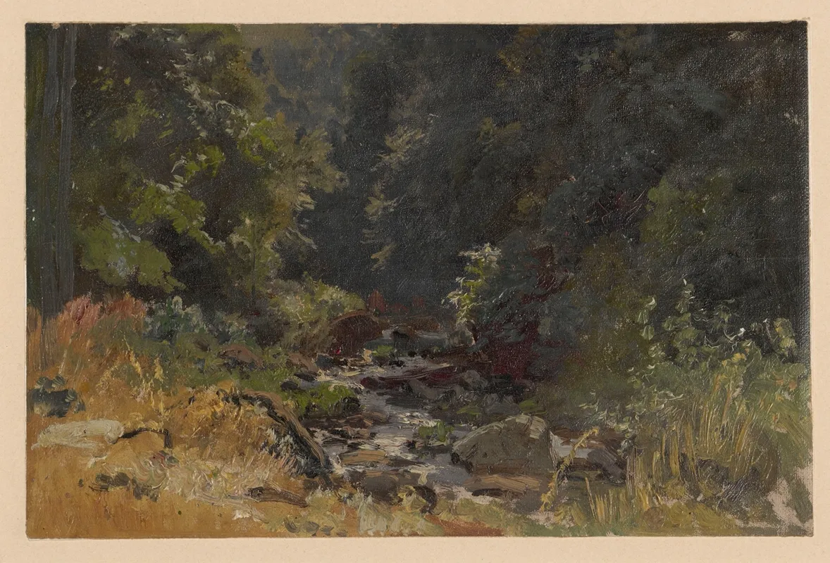 The Pelcznica Stream