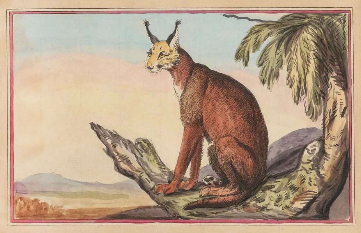 The Persian Lynx Wall Art by Thomas Rowlandson - High-Resolution Digital Print
