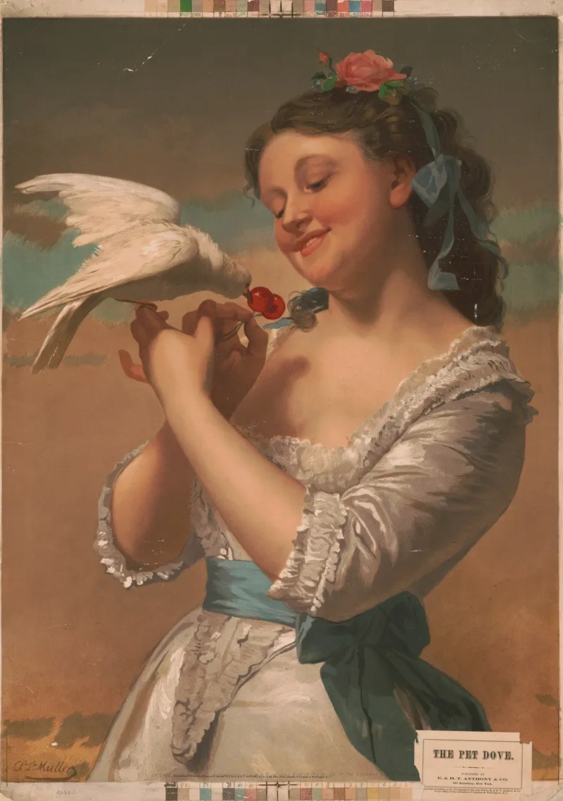The Pet Dove Wall Art by E. &amp; H. T. Anthony &amp; Co. - High-Resolution Digital Print