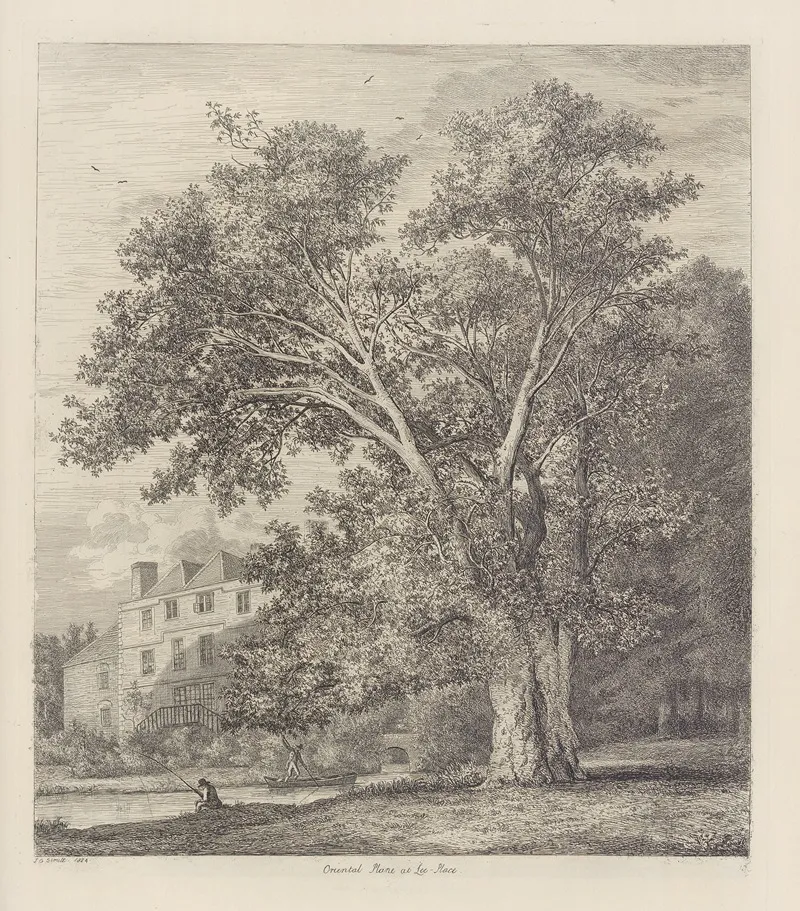 The Plane Tree At Lee Court Wall Art by Jacob George Strutt - High-Resolution Digital Print