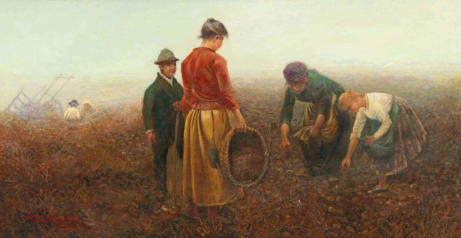 The Potato Harvest 5