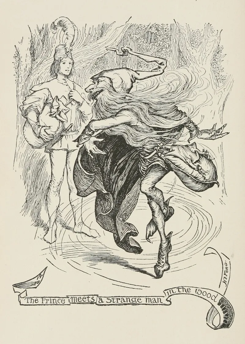 The Prince Meets A Strange Man In The Wood