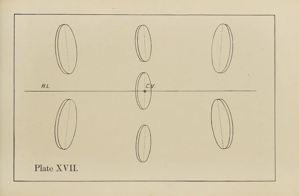The Principles Of Perspective As Applied To Model Drawing Sketching From Nature Pl 17 Wall Art by George Trobridge - High-Resolution Digital Print