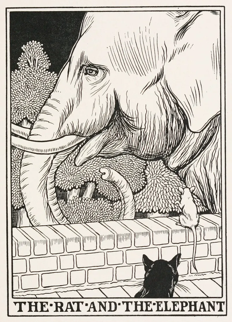 The Rat And The Elephant Wall Art by Percy J. Billinghurst - High-Resolution Digital Print
