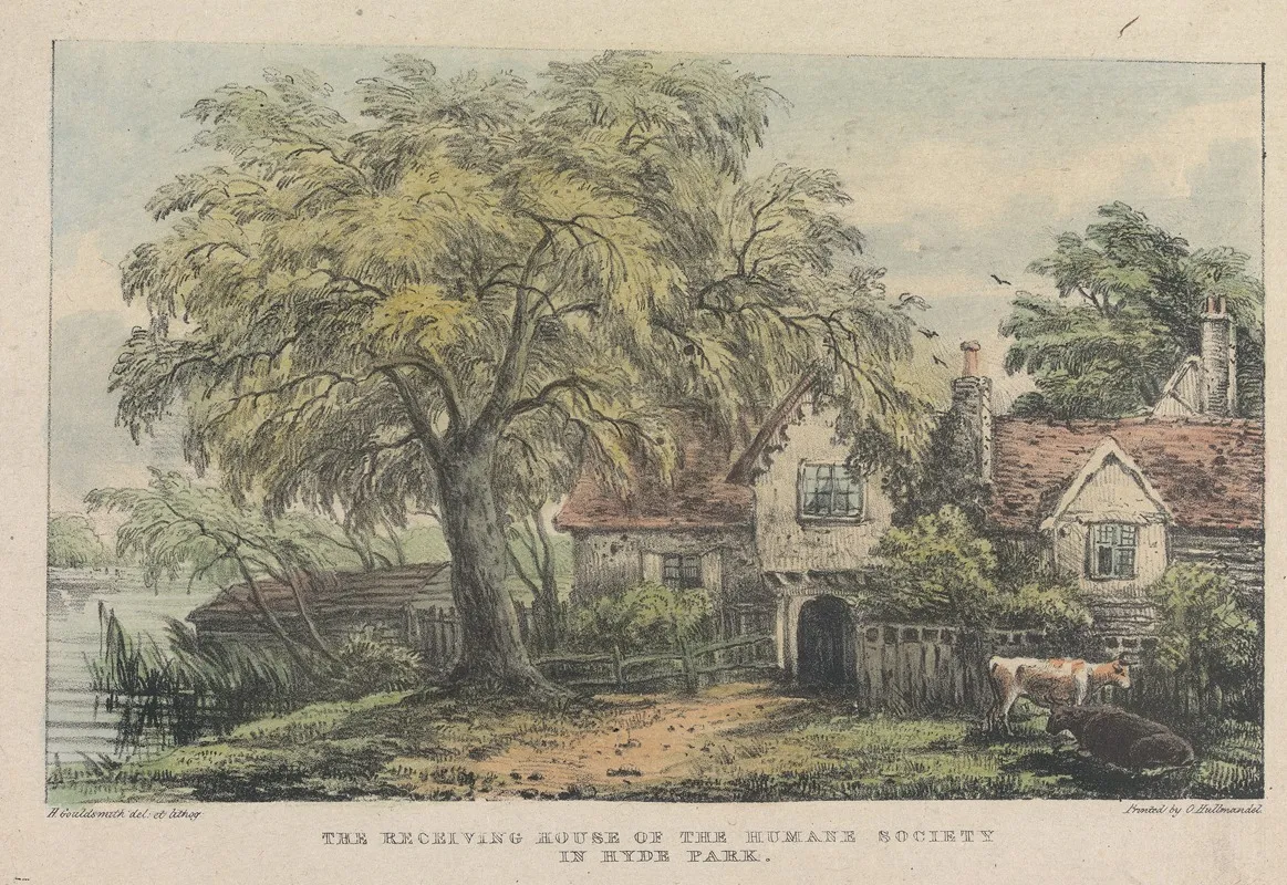The Recieving House Of The Humane Society In Hyde Park