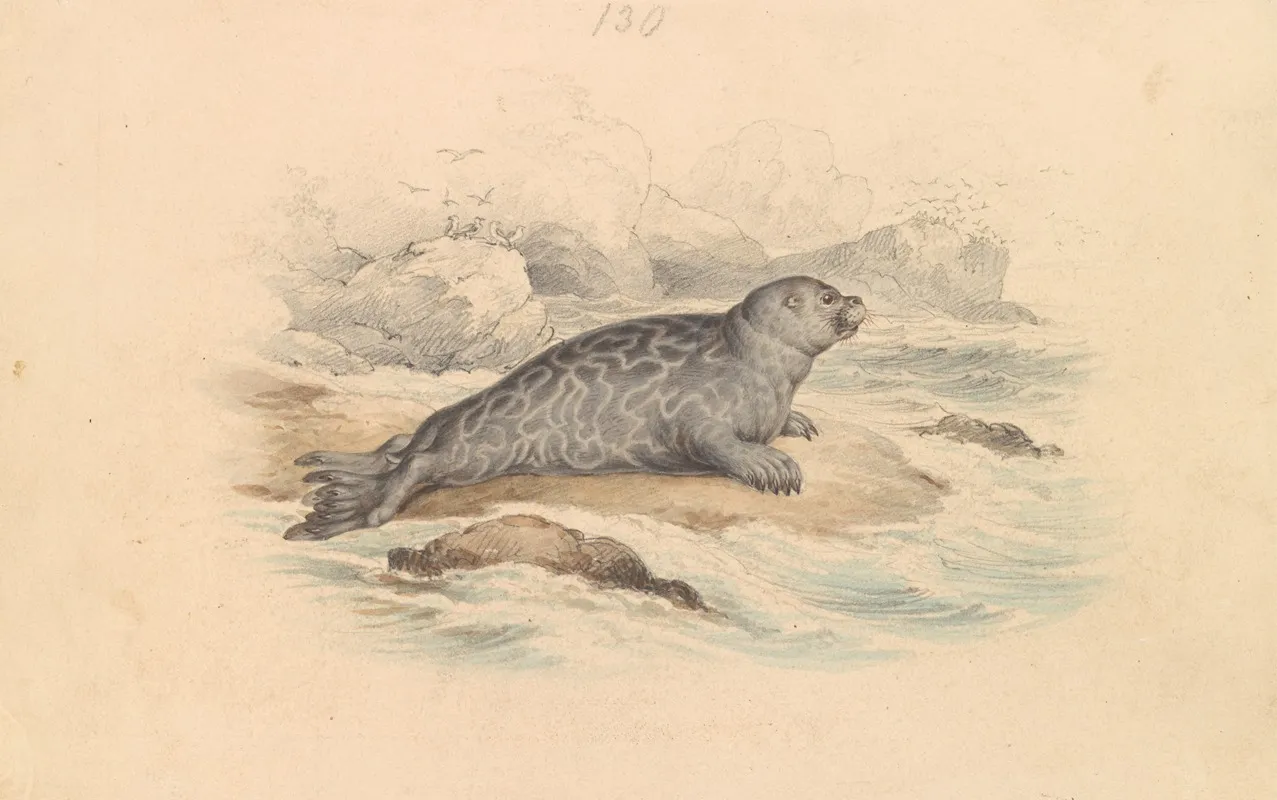 The Ringed Seal 2 Wall Art by James Stewart - High-Resolution Digital Print