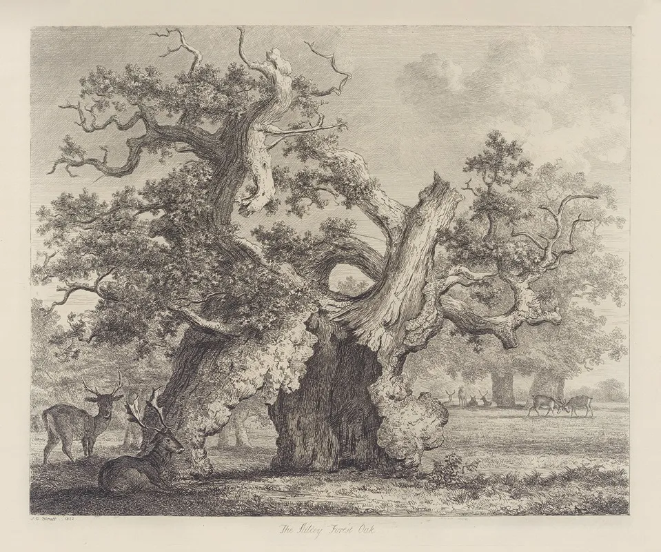 The Salcey Forest Oak Wall Art by Jacob George Strutt - High-Resolution Digital Print