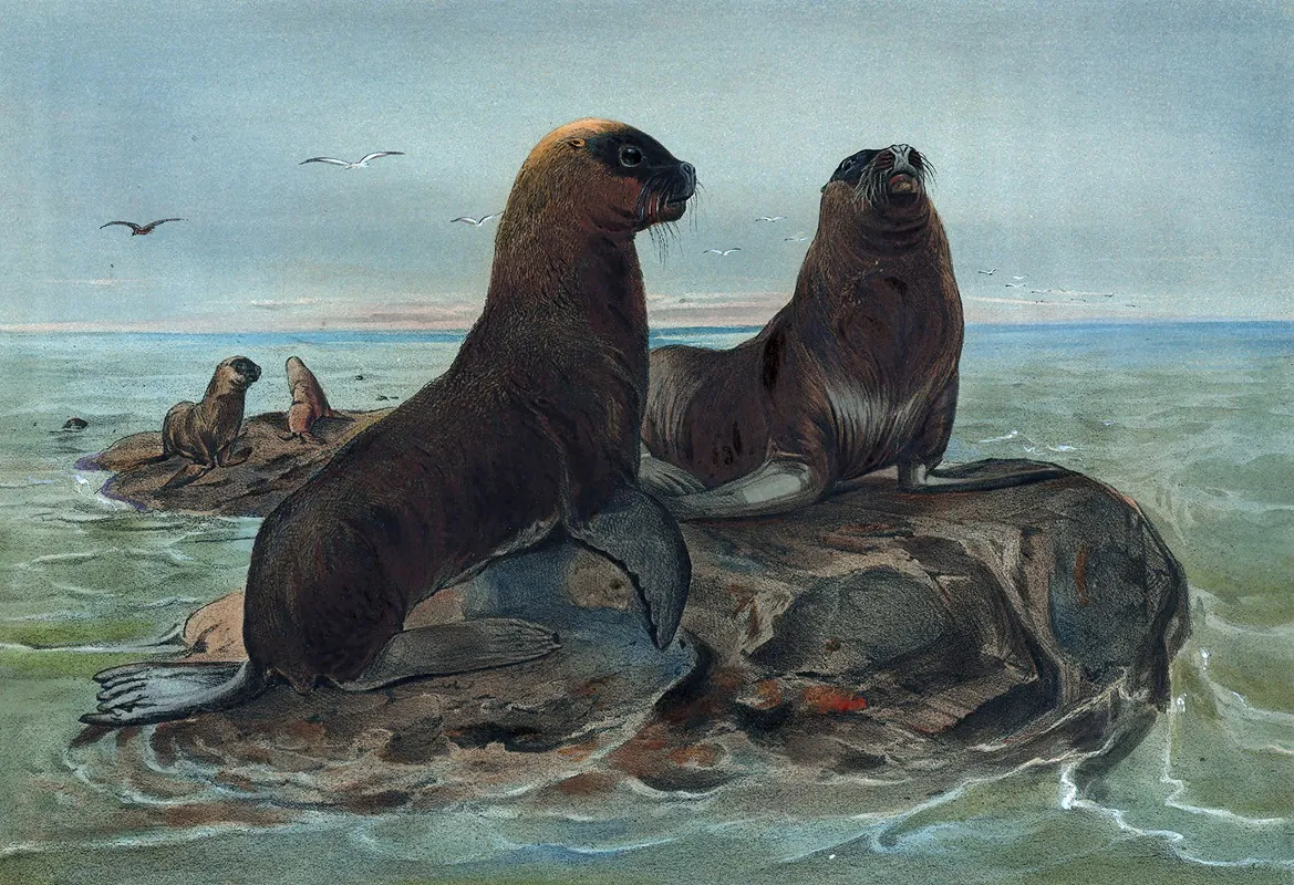 The Sea Bear Wall Art by Joseph Wolf - High-Resolution Digital Print