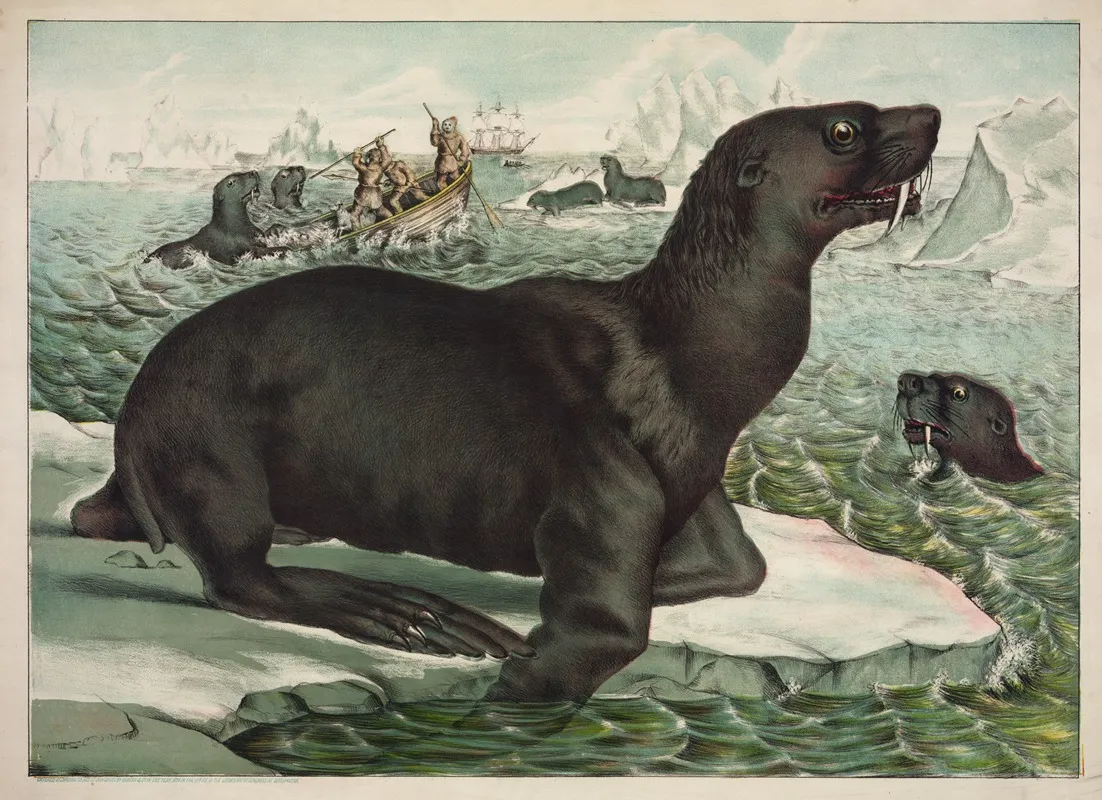 The Sea Lion