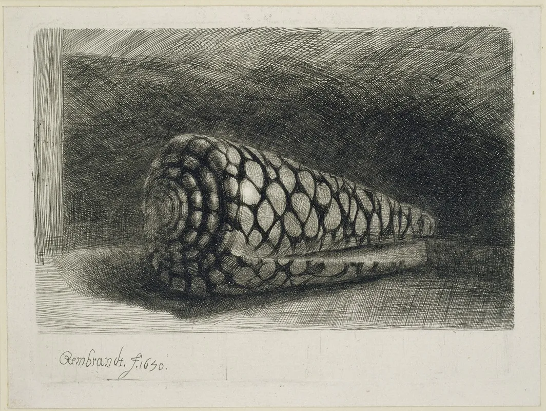 The Shell Wall Art by Rembrandt van Rijn - High-Resolution Digital Print