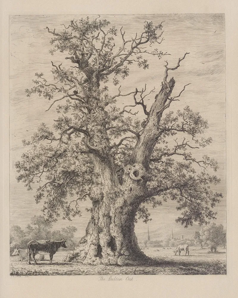 The Shelton Oak Wall Art by Jacob George Strutt - High-Resolution Digital Print