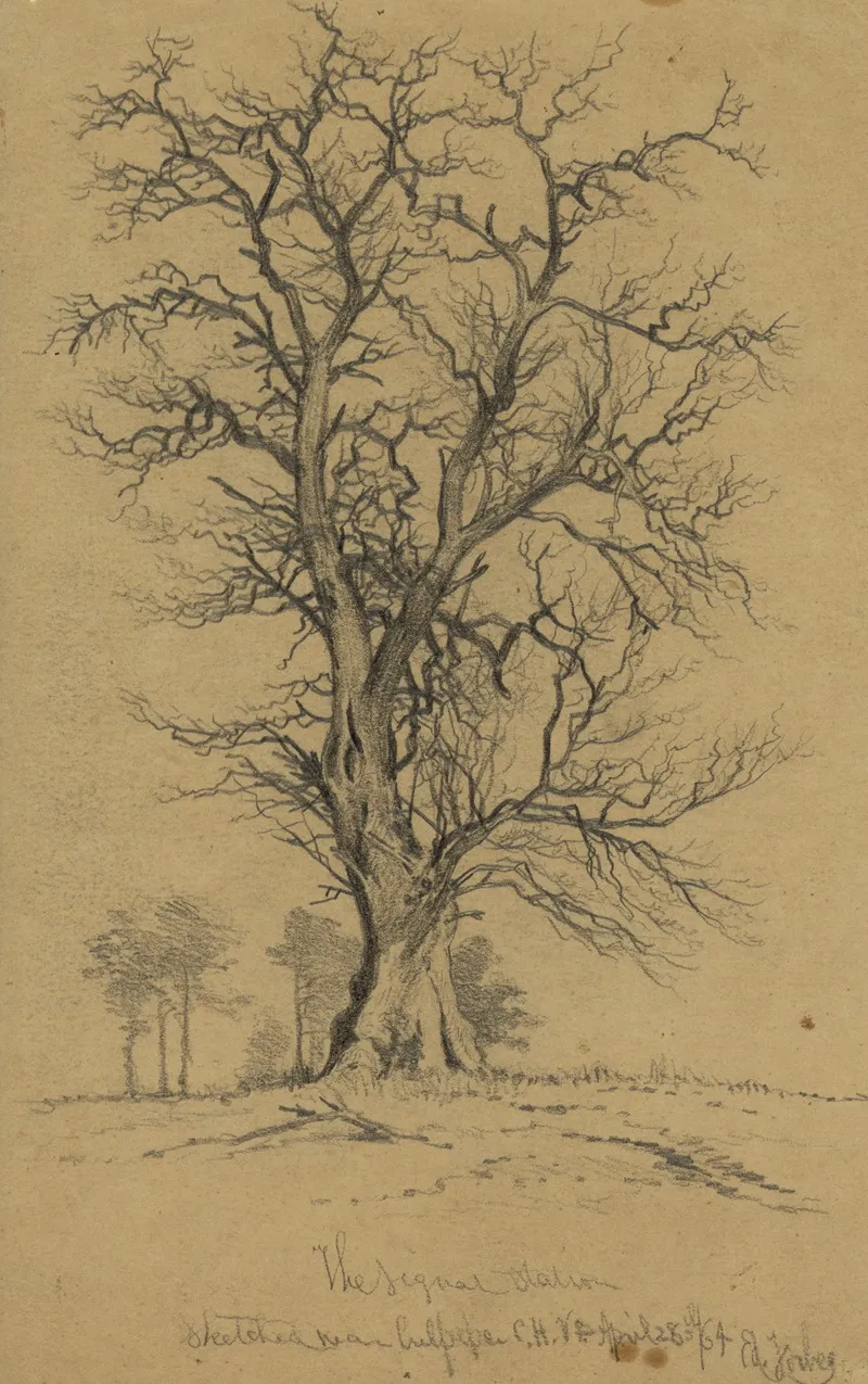 The Signal Station Sketched Near Culpeper C H Va