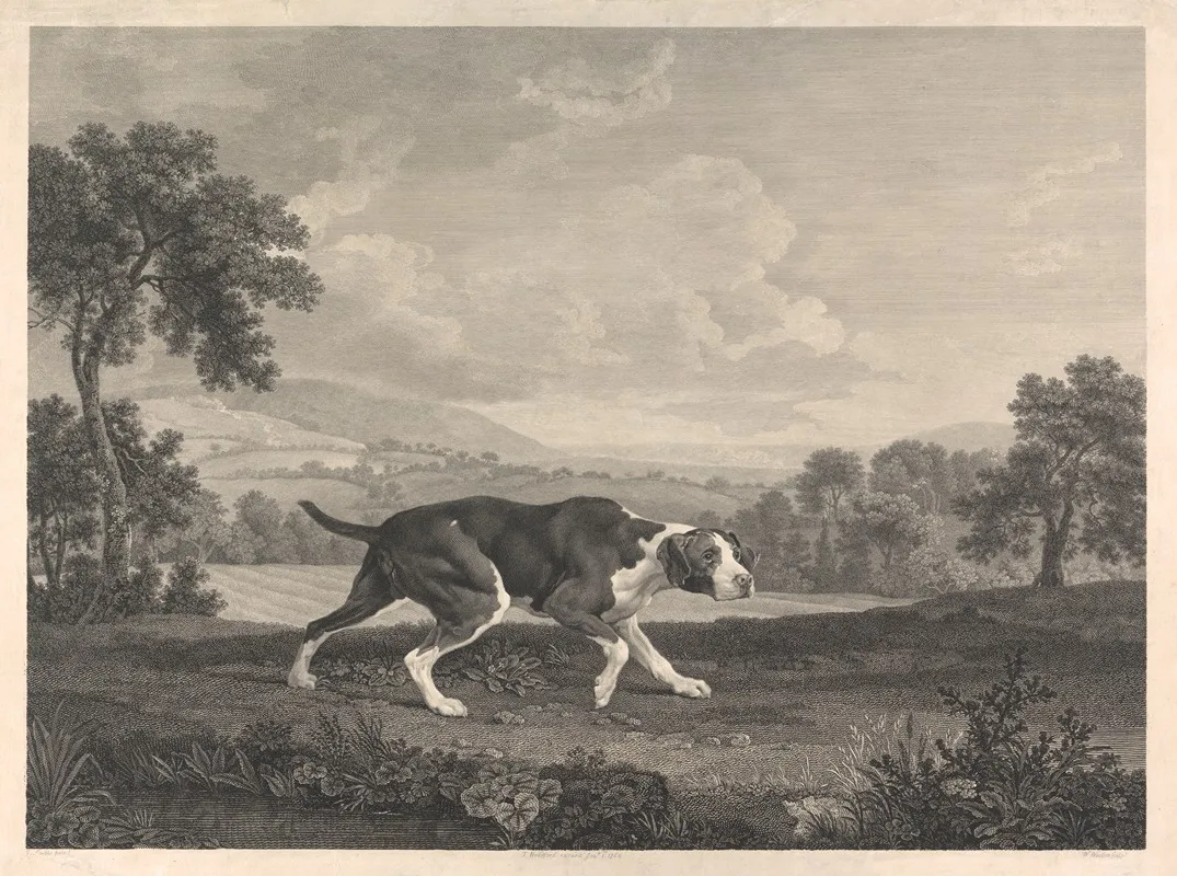 The Spanish Pointer Wall Art by George Stubbs - High-Resolution Digital Print