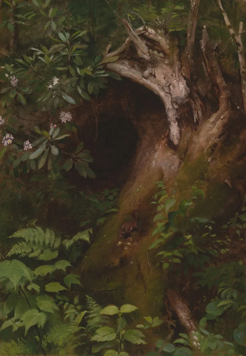 The Squirrel