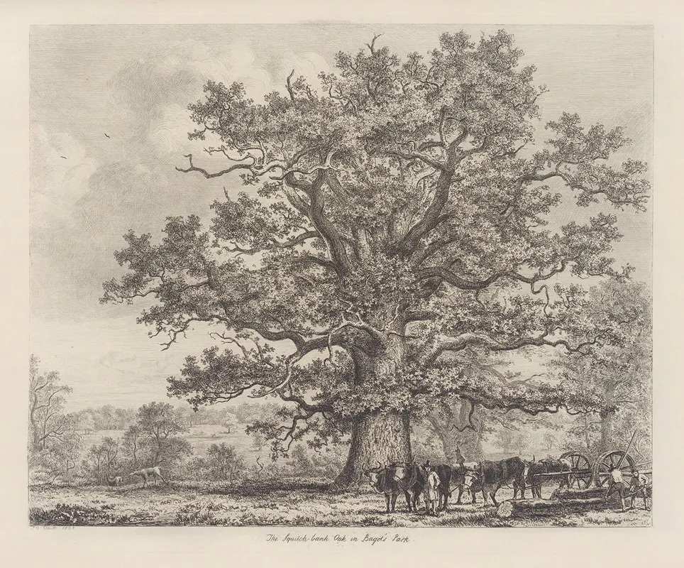 The Squitch Bank Oak Wall Art by Jacob George Strutt - High-Resolution Digital Print