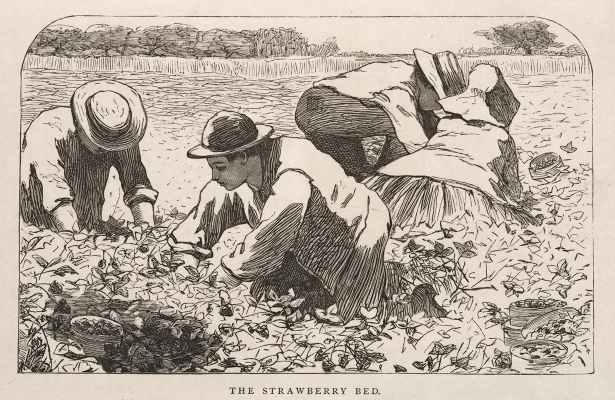 The Strawberry Bed Wall Art by Winslow Homer - High-Resolution Digital Print