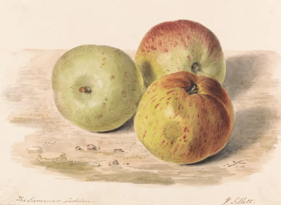 The Summer Lodden Sept 1832 A Still Life Study Of Three Apples Wall Art by James Sillett - High-Resolution Digital Print