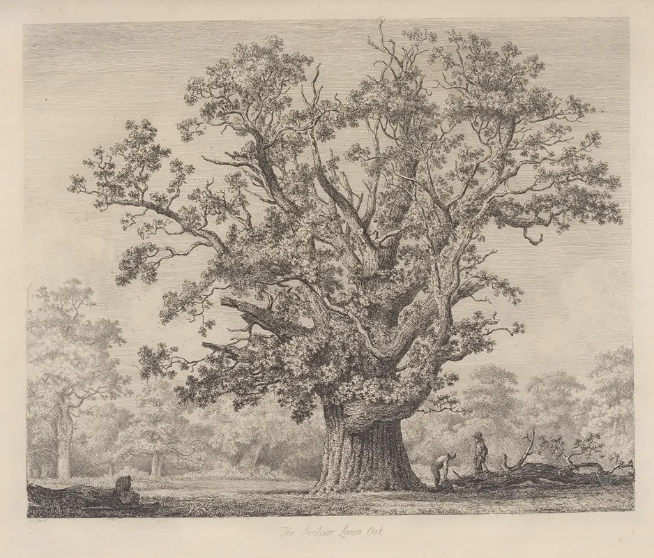 The Swilcar Lawn Oak Wall Art by Jacob George Strutt - High-Resolution Digital Print