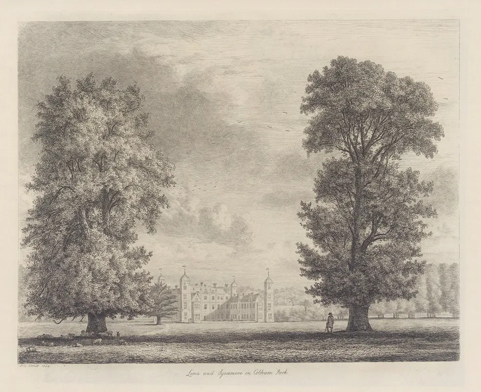 The Sycamore And Lime In Cobham Park Wall Art by Jacob George Strutt - High-Resolution Digital Print