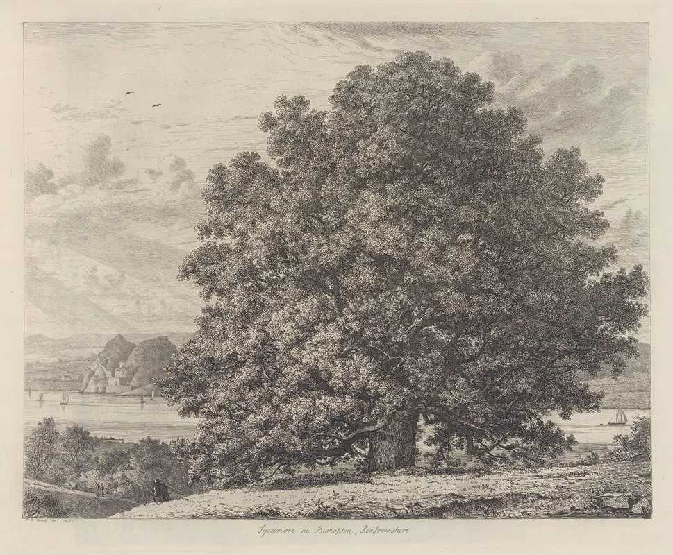 The Sycamore At Bishopton Wall Art by Jacob George Strutt - High-Resolution Digital Print
